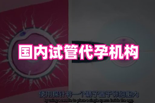 长沙助孕网站 1