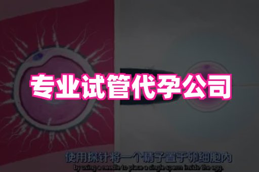 长沙助孕网站 2